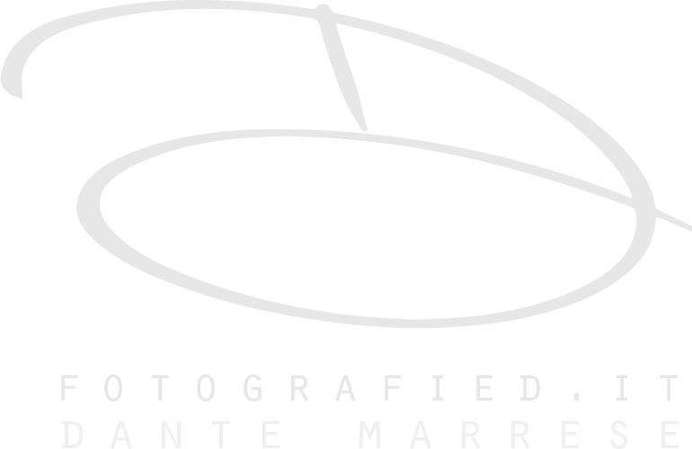 Ermes Digital partner Dante Marrese