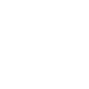 Sviluppo Web