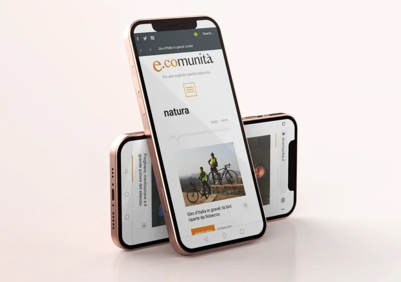 E-Comunità